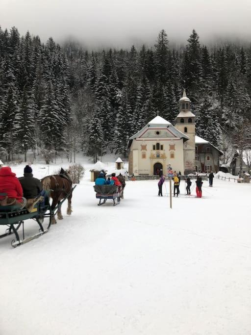 Appartement Au Pays Du Mont-Blanc Sallanches Exterior foto